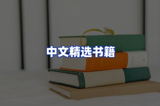 中文精选书籍